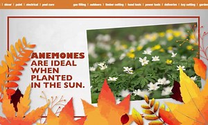 33K views · 59 reactions | Gardening in autumn isn’t a no-no! Don’t stop your hobbies because it’s a little chillier. Watch this video for ideal autumn plants! #LetUsShowYouHow | Mica Hardware | Facebook