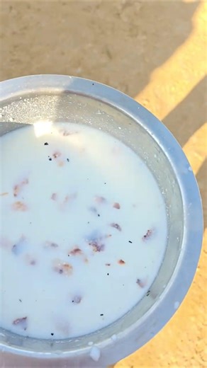 Day-12 dog food 😚🐶