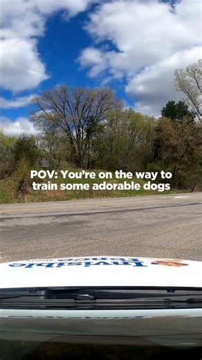 Day in the Life: On the Way to Train Dogs for Invisible Fence® Brand