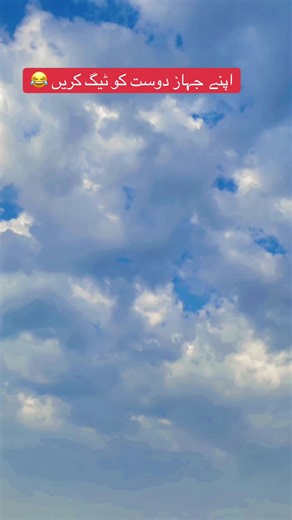 Hilarious Teamwork Moments