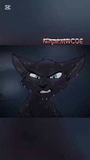 sinking town warrior cats|#warriorcats #edit #antizoo #Furry #Therian #Kittengame #wild #cats