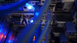 network cables connected to switch - closeup of data center hardware technology