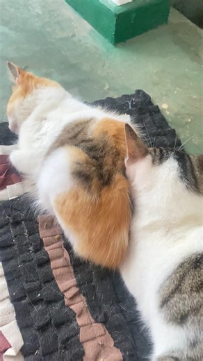 Hello wake up 😴😴😴