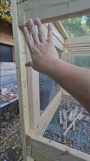 Building Rabbit Hutch