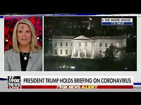 Martha maccallum Fox News ink spot on forehead