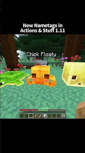 Minecraft: New Secret Nametags in Actions & Stuff 1.11