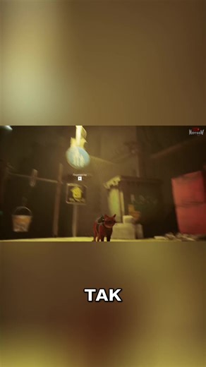 Stray Cat Game Walkthrough