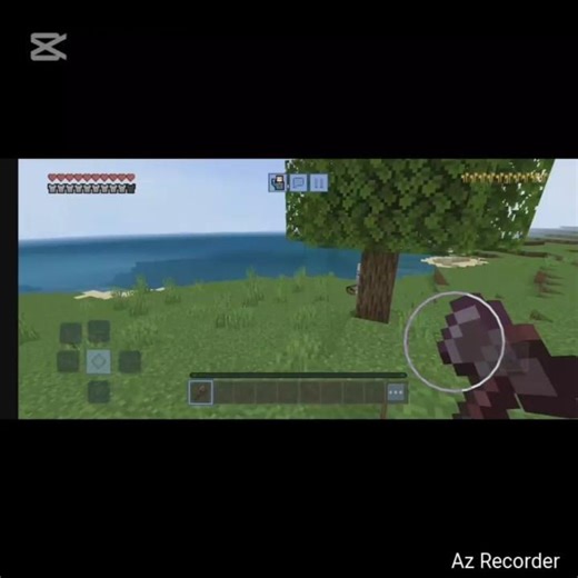 Minecraft vs real life skeleton