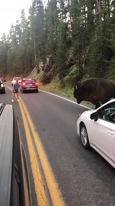 1.9M views · 7.9K reactions |  Cosa succede quando sei ubriaco e...