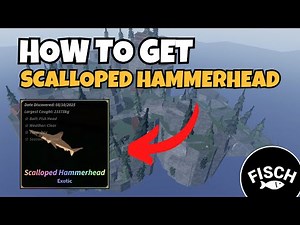 How To Get Scalloped Hammerhead in Fisch | Hammerhead Shark Guide