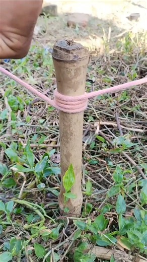 Tips for tying a simple but tight rope knot #diy #rope #shorts #satisfying