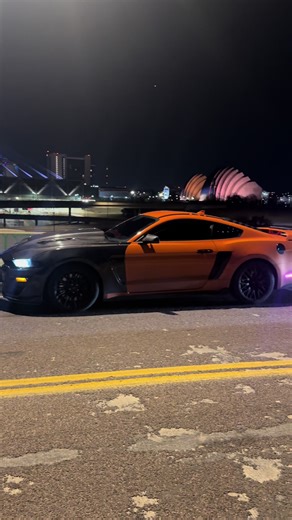 Explore the Power of the Shelby GT350 Racecar