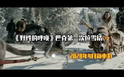 《野性的呼唤》巴克狗狗第一次拉雪橇，2020年4月新电影