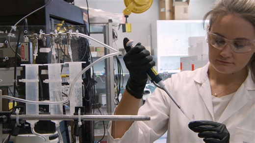 Evaluation of Synaptic Multiplicity Using Whole-cell Patch-clamp Electrophysiology