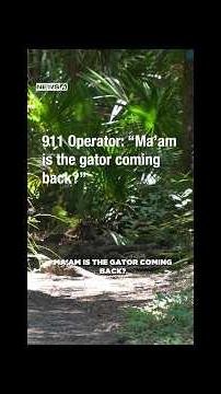 Boyfriend, best friend witnessed deadly alligator encounter in Florida, FWC says