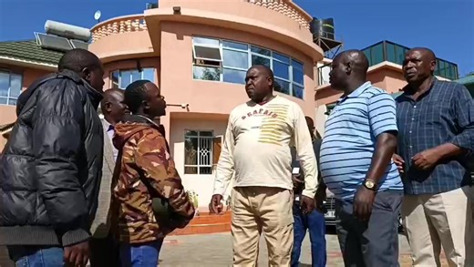 Simba's Journey: Reunions and Triumphs in Lion King