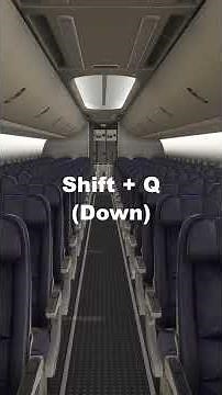 PMDG 737 How to Walk Around the Cabin