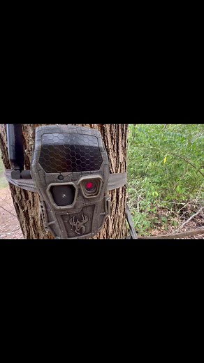 7K views · 27 reactions | Another camera setup in preparation for Youth Season | Encounter 2.0 | Wildgame Innovations | Facebook