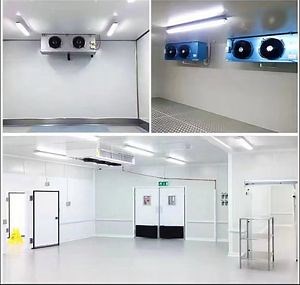 [Hot Item] Fruit Vegetable Meat Seafood Medicine Ice Quick Frozen Factory Supremarket Warehouse Cold Storage Room