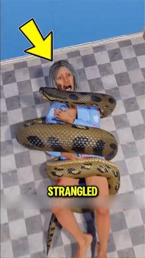 This Woman Survived a 16 Foot Python Attack 🐍😱