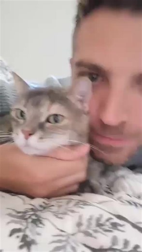 my cat 😺
