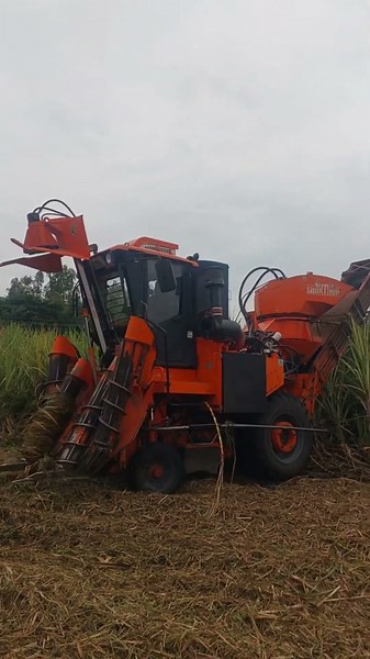 Amazing Sugar Cane Cutter Machine #essenceworld