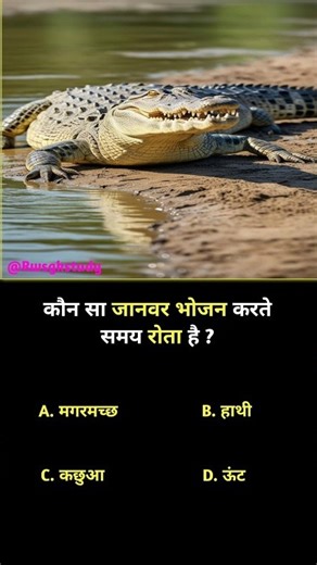 खुद की पहचान बनाने में💫Gk questions and answers#shortsfeed#ytshorts#gkinhindi#treandingshorts#ias