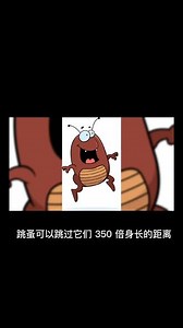 跳蚤可以跳多远？你知道吗？#知识分享 #科普 #涨知识 #冷知识实验室 #干货分享 #科普一下 #经验分享 #知识科普 #内容过于真实 #抖音运营小技巧