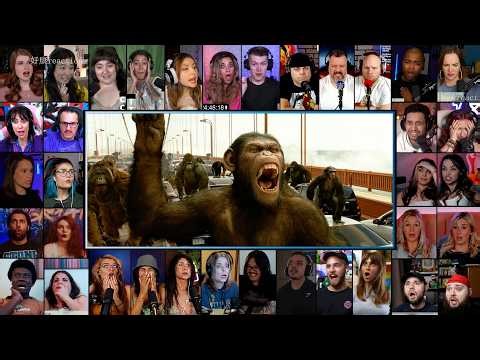 Apes vs Humans - Bridge Battle | Rise of the Planet of the Apes (2011) Reaction Mashup