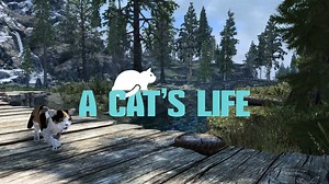 Skyrim: arriva la mod per i gattari, ecco A Cat's Life!