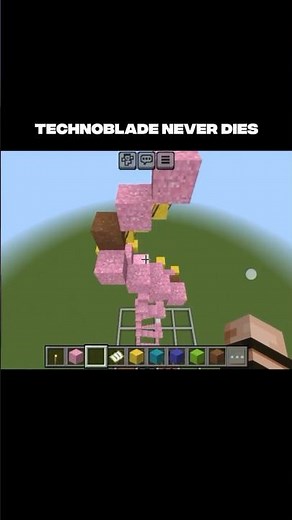 Minecraft (Sand Art) Technoblade Skin Face