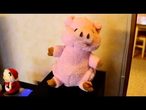 The singing pig toy