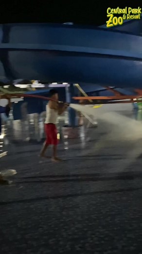 Haii sobat zoo, ikuti kegiatan staff kolam membersihkan dan mengganti air kolam yuuk 📍 Jl. Jamin Ginting No.Km, 20 RW.4, Sugau, Kec. Pancur Batu, Kabupaten Deli Serdang, Sumatera Utara 20353 Pancurbatu, Sumatera Utara, Indonesia #fyp #fypシ #centralparkzoo #zoo #aviary #resort #waterpark #waterboom #aquarium #parkzoomedan #wisatamedan #deliserdang #medan #sumut