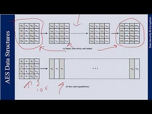 Lecture 12 - D(I)S&E - SP21