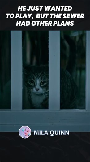 The Sewer Was Hiding Something Terrifying