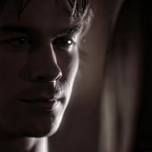 Exploring the Best Brother Dynamics in The Vampire Diaries