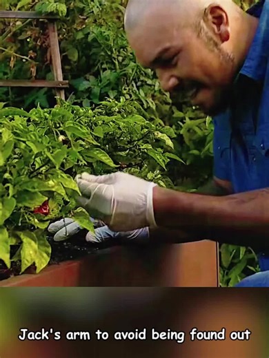 #tiktok #fyp #Film #movie | snow