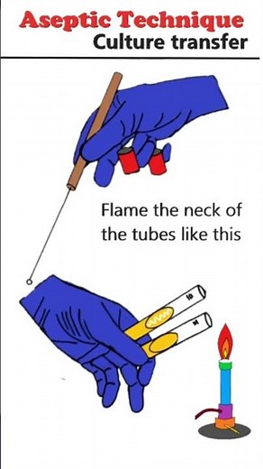 Aseptic Technique: Culture Transfer #animation