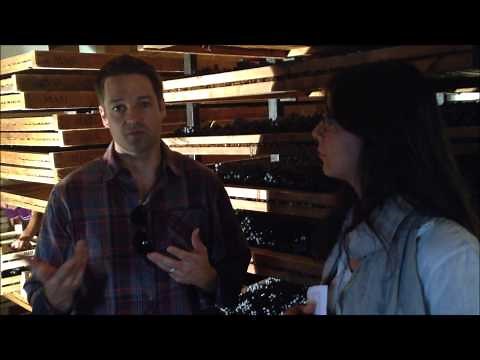 Nick's Wine Journal - Appassimento process for Amarone wines