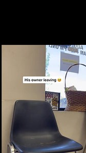 8.3K views · 312 reactions | Adopt ❤️ #dog #puppy #cat #kitten #shelter #shelterdog #love #sad | Judith Coleman | Facebook