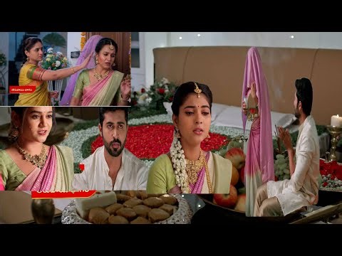 Nuvvu leka nenu lenu serial.శోభనపుపెళ్లికూతురుగా ముసుగులో ప్రియ. చంప పగల కొట్టిన సునంద.