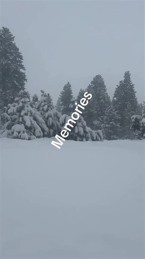 Yohana💋 (@booo19955)’s videos with sonido original - ebm.music