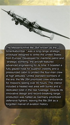 ⏳ The WWII Ghost Plane Built For 45-Hour Missions #WWIIHistory #WarStories #WW2 #Me264 #fblifestyle #MilitaryHistory | Gist of History