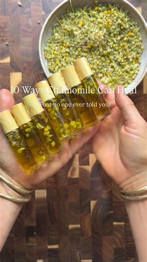 Jess Bergeron • Herbalist & Wellness Guide on Instagram: "10 Ways Chamomile Heals from the Kitchen (That No One Ever Told You) 1) It calms an overstimulated nervous system — fast. Chamomile isn’t just “relaxing.” It downshifts the vagus nerve when stress lives in the body as tight shoulders, shallow breath, or irritability. 2) Chamomile soothes digestive pain rooted in tension, not food. When the gut hurts because the nervous system is overwhelmed, chamomile relaxes smooth muscle and releases ho