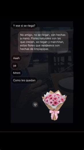 Respuesta a @💐 INSTANTES PARA DOS 💐 || No me fustó🤓🫸🏻 #chile #paratiiiiiiiiiiiiiiiiiiiiiiiiiiiiiii #funny #meme #chats