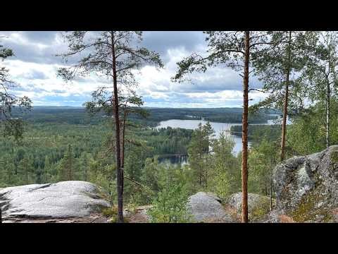 🇫🇮 Найтвуорі - природна лісова скарбниця. Neitvuori - Naturparadise.