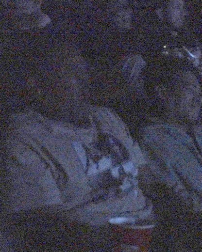 PRIMATE will leave you on the edge of your seat. Experience it in theatres January 9. #PrimateMovie | Primate Movie