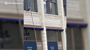 Pet parrot rescued from window ledge in Loop: VIDEO