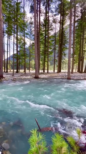 anav_66 (@anav_66)’s videos with original sound - cristianascamino