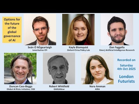 Options for the future of the global governance of AI
